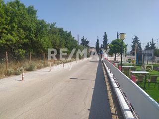 Αγροτεμάχια 1.000 τ.μ. για ενοικίαση