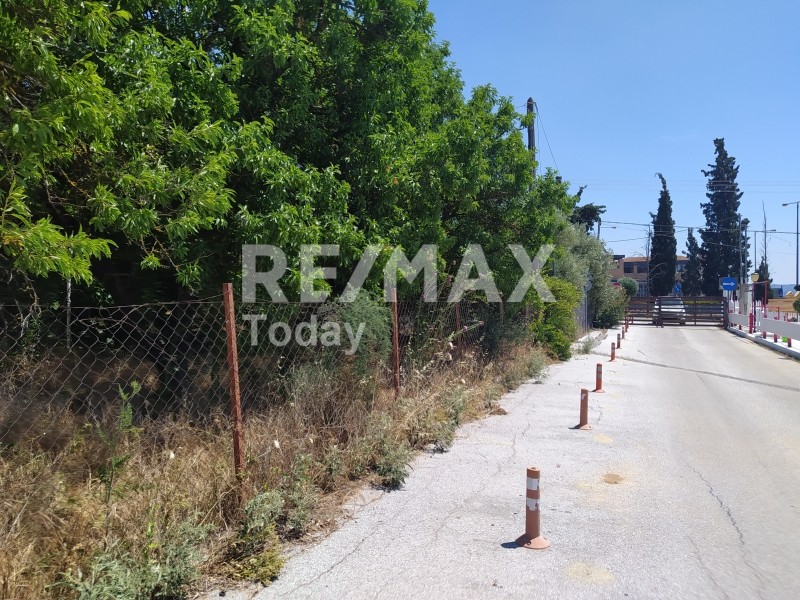 Αγροτεμάχια 1.000 τ.μ. πρός ενοικίαση, Θεσσαλονίκη - Περιφ/Κοί Δήμοι, Πυλαία