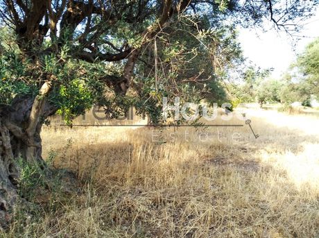 Οικόπεδο 1.020τ.μ. για πώληση-Ρίο » Αραχωβίτικα