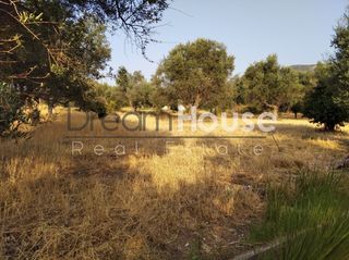 Οικόπεδο 2.000 τ.μ. για πώληση