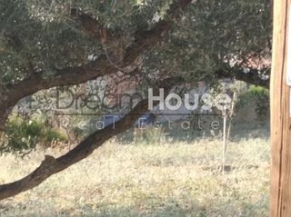 Οικόπεδο 1.500 τ.μ. για πώληση, Αχαΐα, Μεσσατίδα-thumb-3