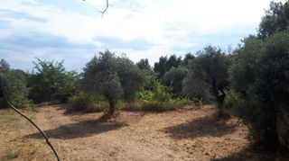 Οικόπεδο 1.212 τ.μ. για πώληση, Ν. Καβάλας, Θάσος-thumb-1