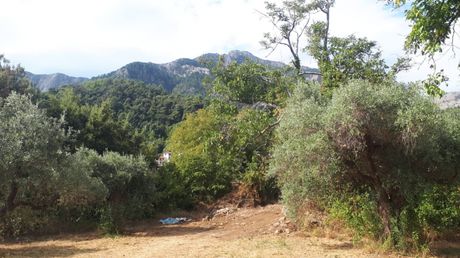 Οικόπεδο 1.212τ.μ. για πώληση-Θάσος » Ποταμιά