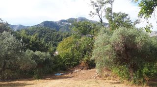 Οικόπεδο 1.212 τ.μ. για πώληση