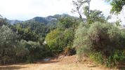 Land plot 1.212sqm for sale-Thasos » Potamia