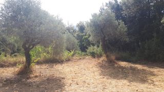 Οικόπεδο 1.212 τ.μ. για πώληση, Ν. Καβάλας, Θάσος-thumb-3