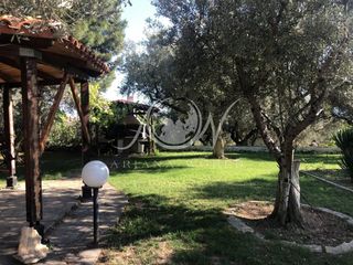 Μεζονέτα 90 τ.μ. προς ενοικίαση, Μάκρη Αλεξανδρούπολης-thumb-18