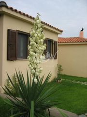 Ξενοδοχείο 400 τ.μ. για πώληση, Εβρος, Σουφλί-thumb-5