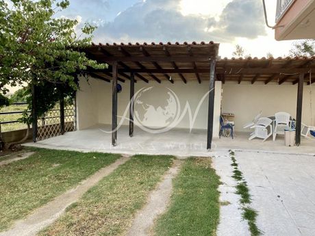 Άλλο 55 τ.μ. για ενοικίαση
