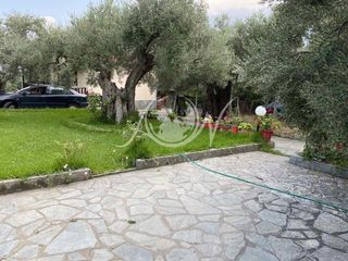Άλλο 50 τ.μ. για ενοικίαση, Εβρος, Αλεξανδρούπολη-thumb-10