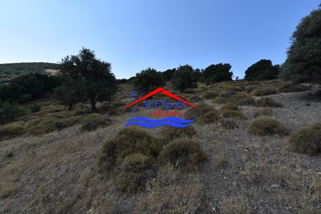Parcel 9.000sqm for sale-Samothraki » Katsampas