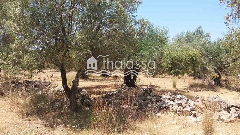 Οικόπεδο 679 τ.μ. πρός πώληση, Ν. Κεφαλονιάς, Κεφαλονιά