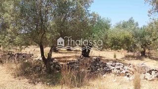 Οικόπεδο 679 τ.μ. για πώληση