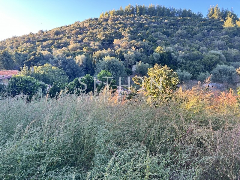 Αγροτεμάχια 1.190 τ.μ. προς πώληση, Κουφός Τορώνης