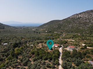 Αγροτεμάχια 1.933 τ.μ. για πώληση, Ν. Καβάλας, Θάσος-thumb-7