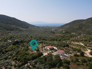 Αγροτεμάχια 1.933 τ.μ. για πώληση, Ν. Καβάλας, Θάσος-thumb-6