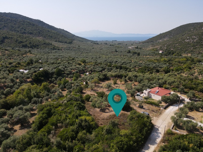 Αγροτεμάχια 1.933 τ.μ. πρός πώληση, Ν. Καβάλας, Θάσος