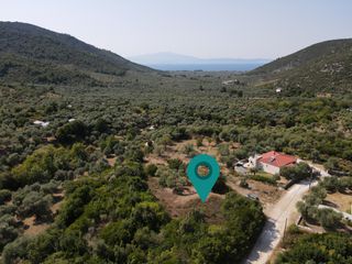 Αγροτεμάχια 1.933 τ.μ. για πώληση, Ν. Καβάλας, Θάσος-thumb-2