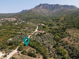 Αγροτεμάχια 1.933 τ.μ. για πώληση, Ν. Καβάλας, Θάσος-thumb-4