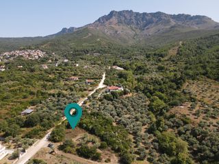 Αγροτεμάχια 1.933 τ.μ. για πώληση, Ν. Καβάλας, Θάσος-thumb-5