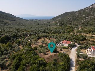 Αγροτεμάχια 1.933 τ.μ. για πώληση, Ν. Καβάλας, Θάσος-thumb-1