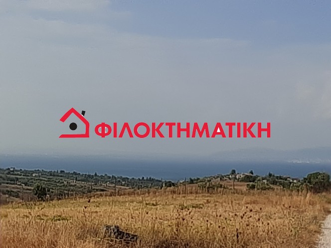 Αγροτεμάχια 10.000 τ.μ. πρός πώληση, Θεσσαλονίκη - Περιφ/Κοί Δήμοι, Θερμαϊκός