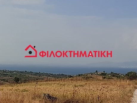 Αγροτεμάχια 10.000τ.μ. για πώληση-Θερμαϊκός » Νέοι επιβάτες