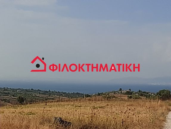 Αγροτεμάχια 10.000 τ.μ. για πώληση, Θεσσαλονίκη - Περιφ/Κοί Δήμοι, Θερμαϊκός