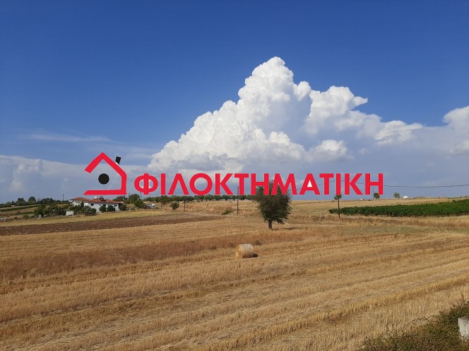 Αγροτεμάχια 10.000 τ.μ. πρός πώληση, Θεσσαλονίκη - Περιφ/Κοί Δήμοι, Θερμαϊκός