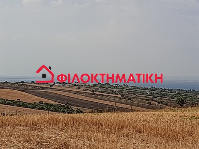 Αγροτεμάχια 10.000 τ.μ. πρός πώληση, Θεσσαλονίκη - Περιφ/Κοί Δήμοι, Θερμαϊκός