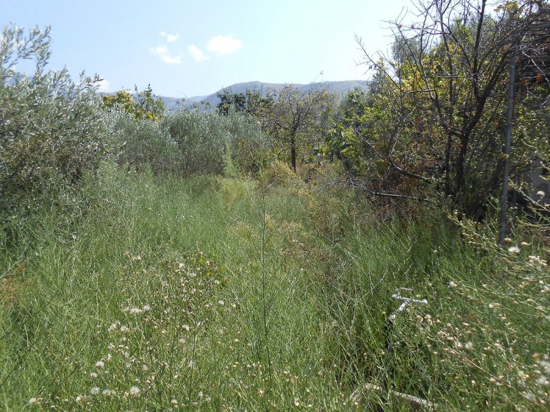 Οικόπεδο 300 τ.μ. για πώληση, Ν. Καβάλας, Θάσος