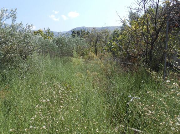 Land plot 364 sqm for sale, Kavala Prefecture, Thasos