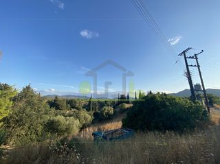 Οικόπεδο 4.000 τ.μ. για πώληση, Αχαΐα, Ωλένια-thumb-21