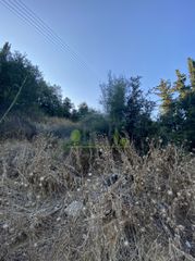 Οικόπεδο 4.000 τ.μ. για πώληση, Αχαΐα, Ωλένια-thumb-11