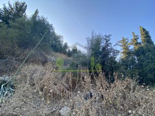 Οικόπεδο 4.000 τ.μ. για πώληση, Αχαΐα, Ωλένια-thumb-16