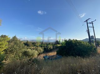 Οικόπεδο 4.000 τ.μ. για πώληση, Αχαΐα, Ωλένια-thumb-24