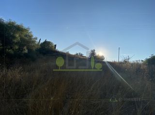 Οικόπεδο 4.000 τ.μ. για πώληση, Αχαΐα, Ωλένια-thumb-18