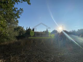 Οικόπεδο 4.000 τ.μ. για πώληση, Αχαΐα, Ωλένια-thumb-12