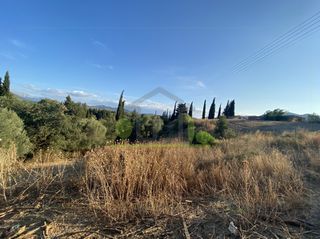 Οικόπεδο 4.000 τ.μ. για πώληση, Αχαΐα, Ωλένια-thumb-3