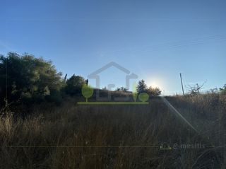 Οικόπεδο 4.000 τ.μ. για πώληση, Αχαΐα, Ωλένια-thumb-14