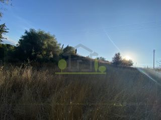 Οικόπεδο 4.000 τ.μ. για πώληση, Αχαΐα, Ωλένια-thumb-13