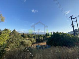 Οικόπεδο 4.000 τ.μ. για πώληση, Αχαΐα, Ωλένια-thumb-23