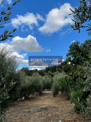 Αγροτεμάχια 12.373 τ.μ. προς πώληση, Πέραμα Γεροποτάμου-thumb-8