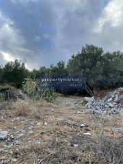Αγροτεμάχια 12.373 τ.μ. προς πώληση, Πέραμα Γεροποτάμου-thumb-6