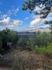 Αγροτεμάχια 12.373 τ.μ. προς πώληση, Πέραμα Γεροποτάμου-thumb-5