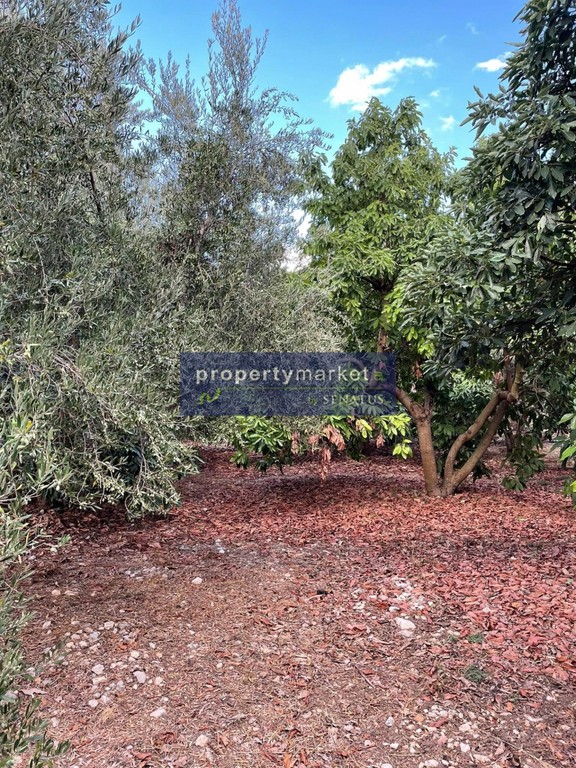Αγροτεμάχια 12.373 τ.μ. πρός πώληση, Ν. Ρεθύμνου, Γεροπόταμος