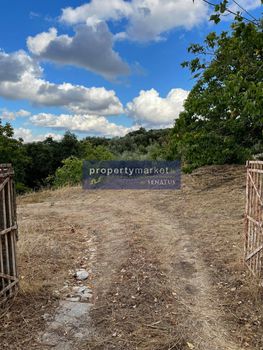 Parcel 12.373sqm for sale-Geropotamos » Perama
