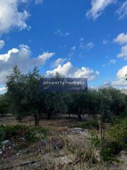 Αγροτεμάχια 12.373 τ.μ. προς πώληση, Πέραμα Γεροποτάμου-thumb-10
