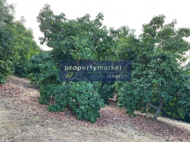 Αγροτεμάχια 12.373 τ.μ. πρός πώληση, Ν. Ρεθύμνου, Γεροπόταμος