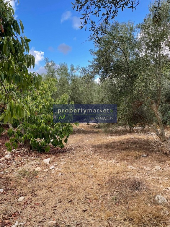 Αγροτεμάχια 12.373 τ.μ. πρός πώληση, Ν. Ρεθύμνου, Γεροπόταμος